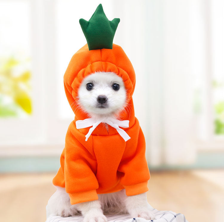 Adorable Fruit & Animal Themed Dog Hoodies