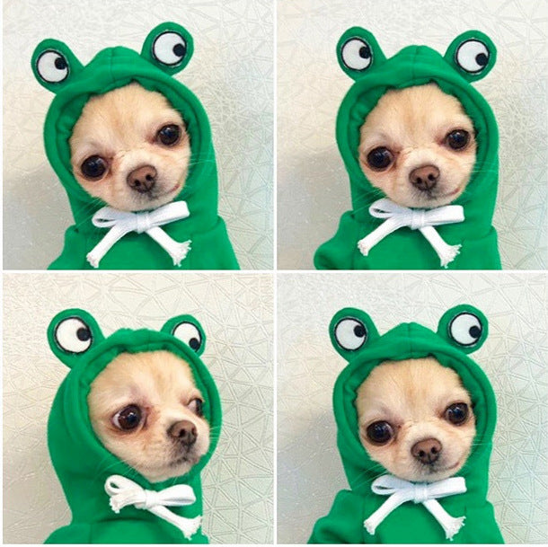 Adorable Fruit & Animal Themed Dog Hoodies