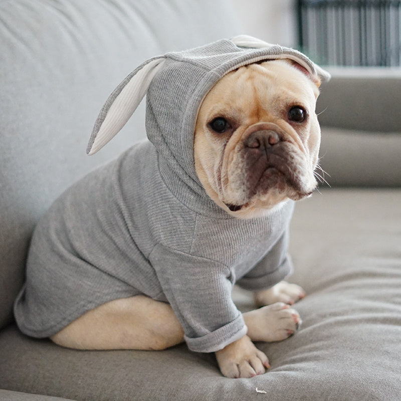 Classic Dog Hoodie in Light Grey & Pink
