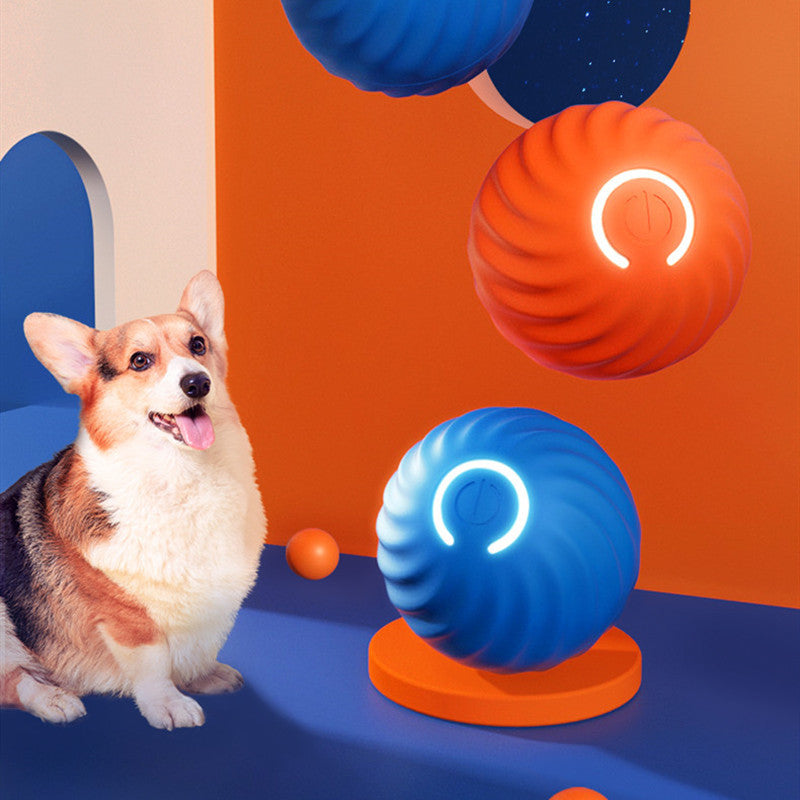 Wicked Ball" Style Interactive Pet Toy