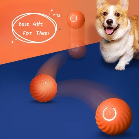 Wicked Ball" Style Interactive Pet Toy
