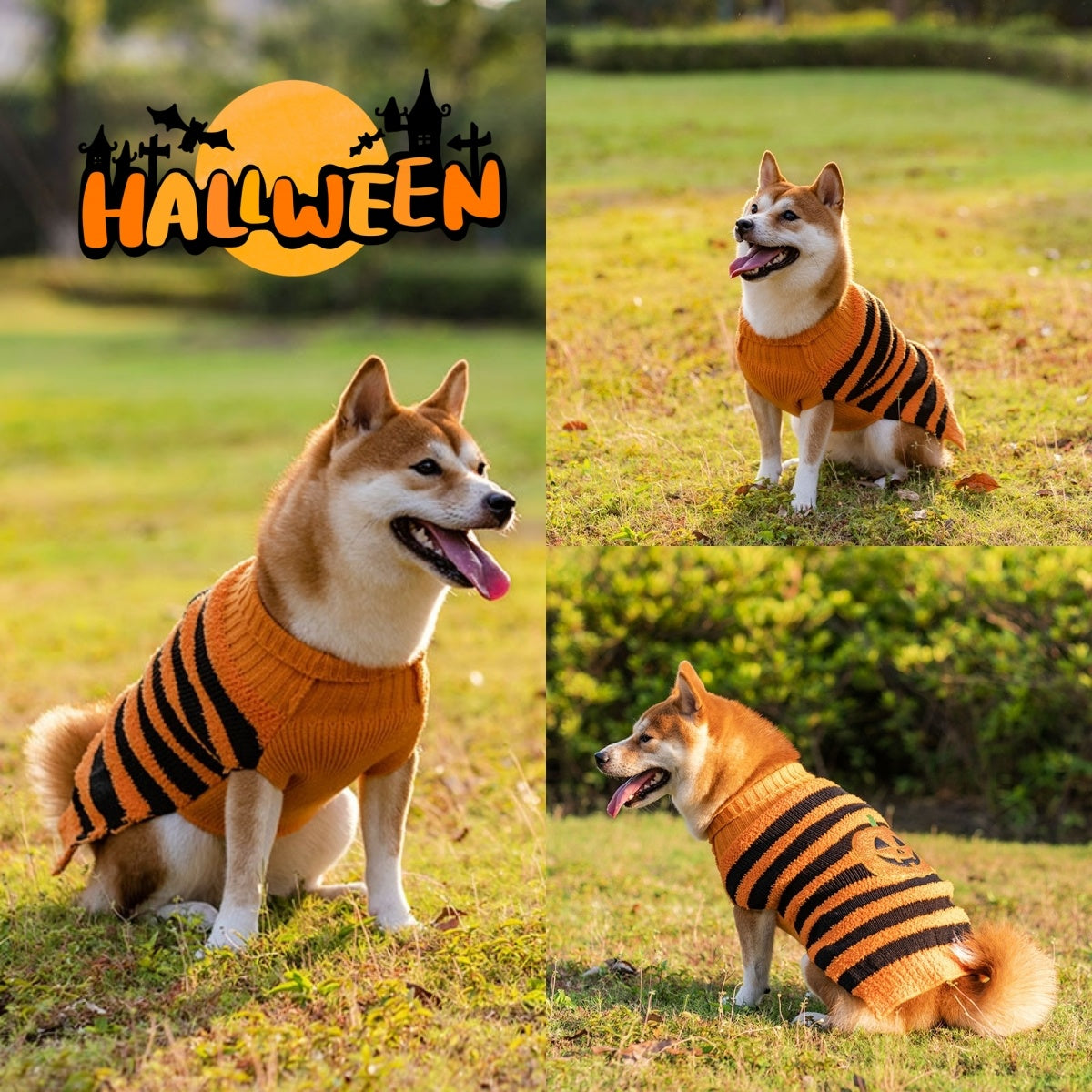 Spooky & Sweet Halloween Dog Sweater