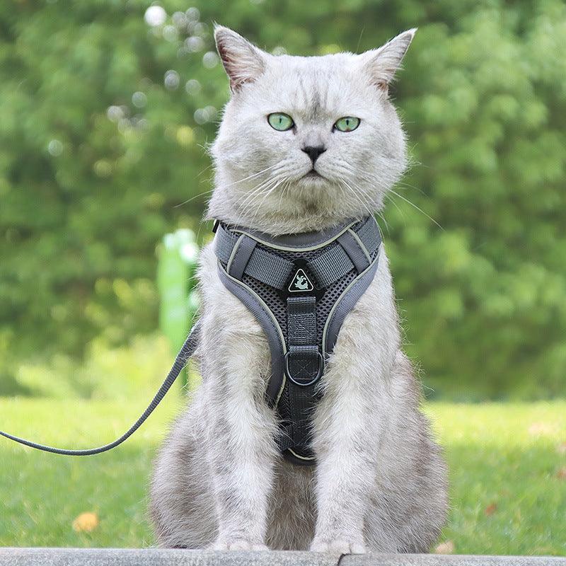 Adjustable 'Anti-Breakaway' Harness for Cats
