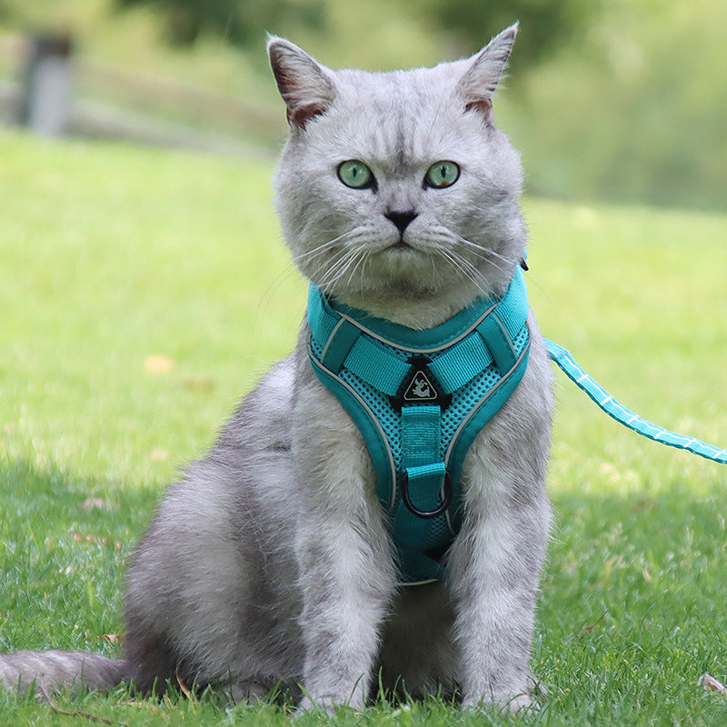 Adjustable 'Anti-Breakaway' Harness for Cats