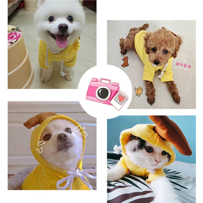 Adorable Fruit & Animal Themed Dog Hoodies