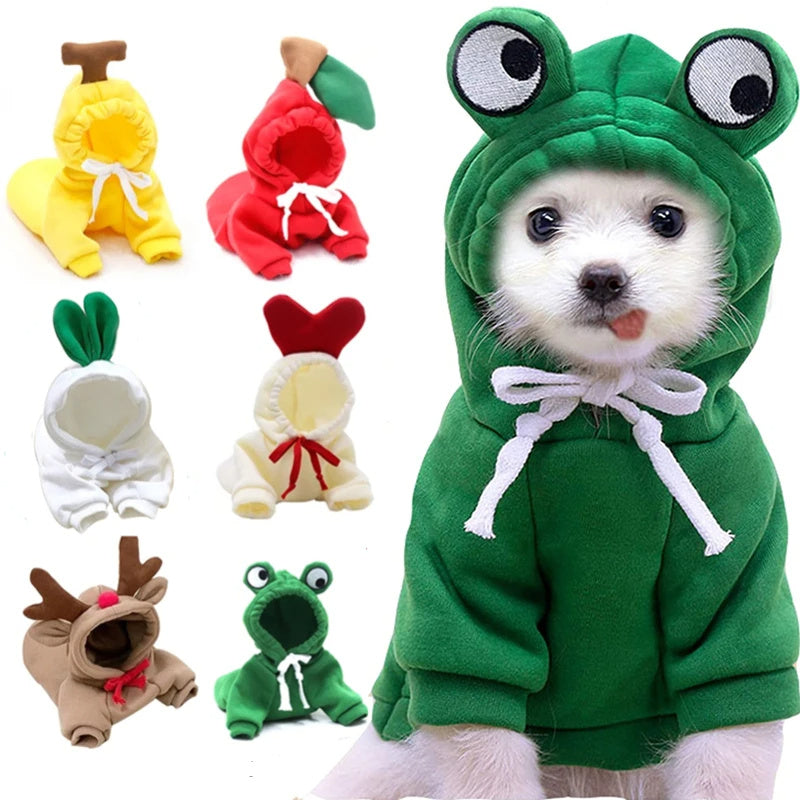 Adorable Fruit & Animal Themed Dog Hoodies