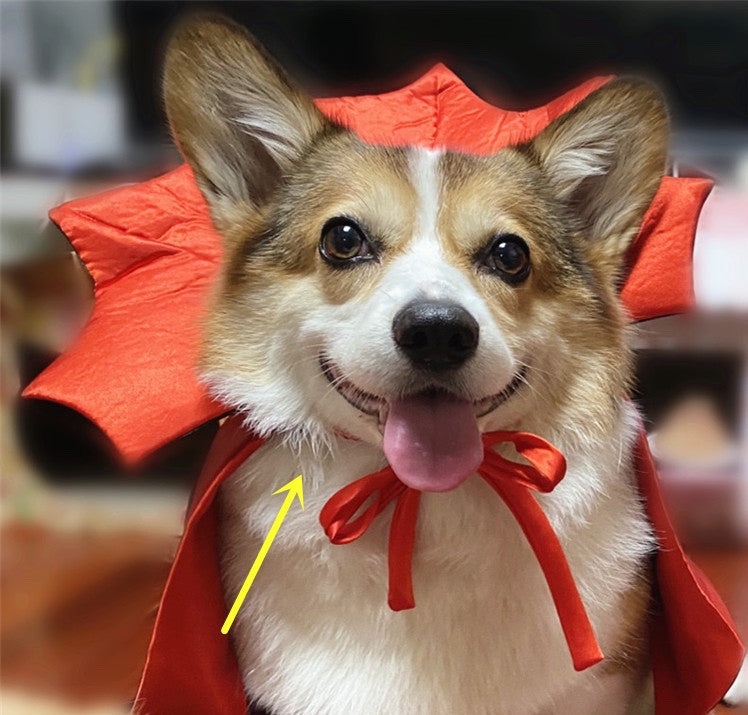 Vampire King Halloween Pet Cape