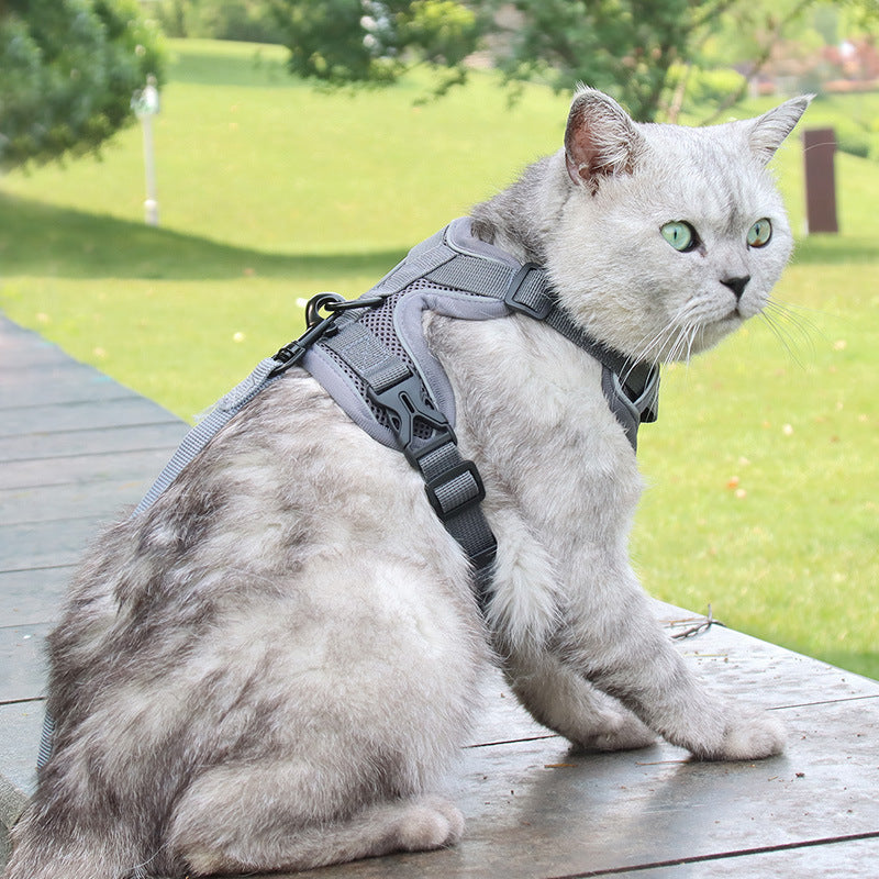 Adjustable 'Anti-Breakaway' Harness for Cats